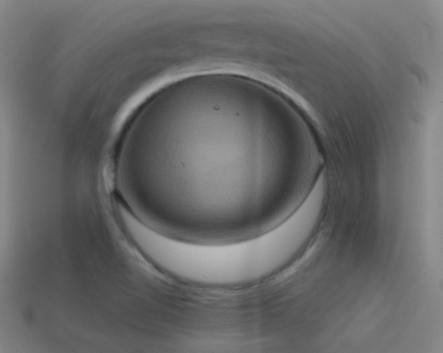 X0000114701510200910211241