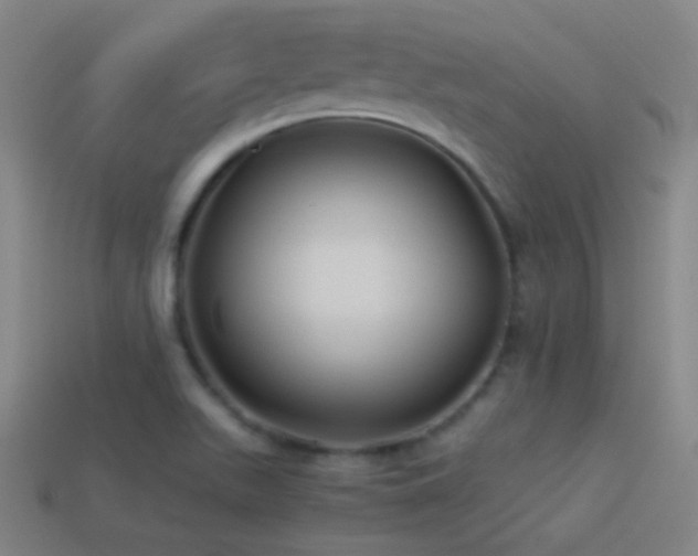 X0000114701511200910211242