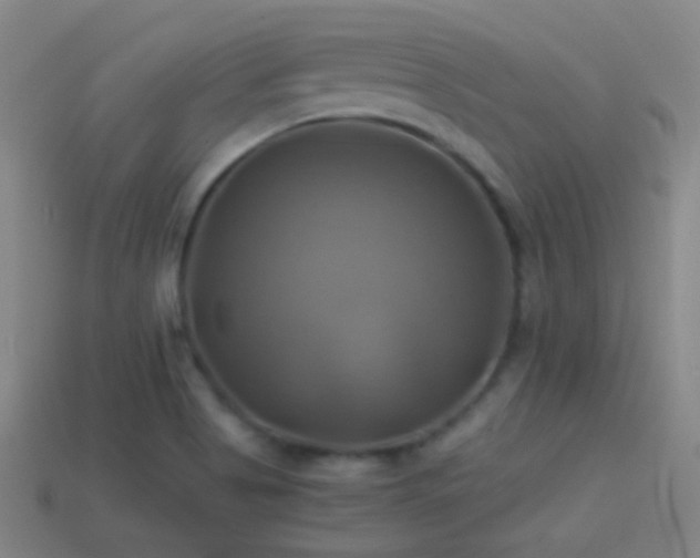 X0000114701513200910211242