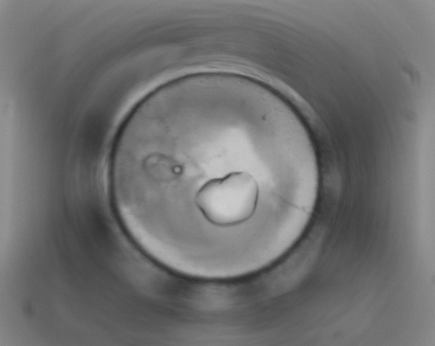 X0000114701514200910211242