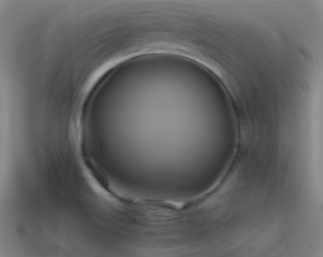 X0000114701515200910211242