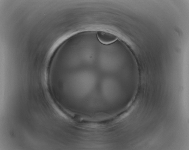 X0000114701517200910211242