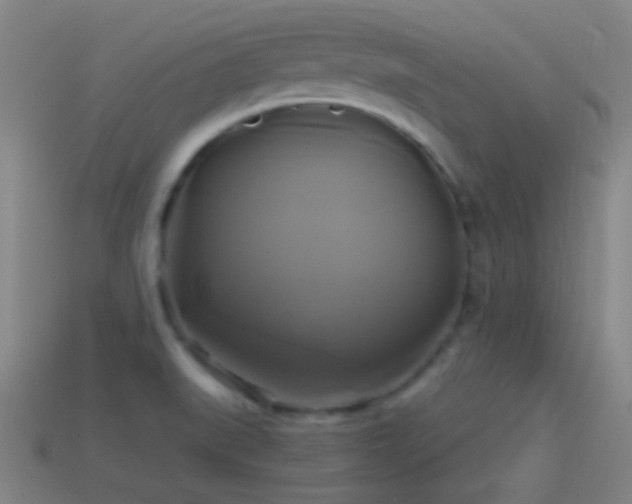 X0000114701519200910211242