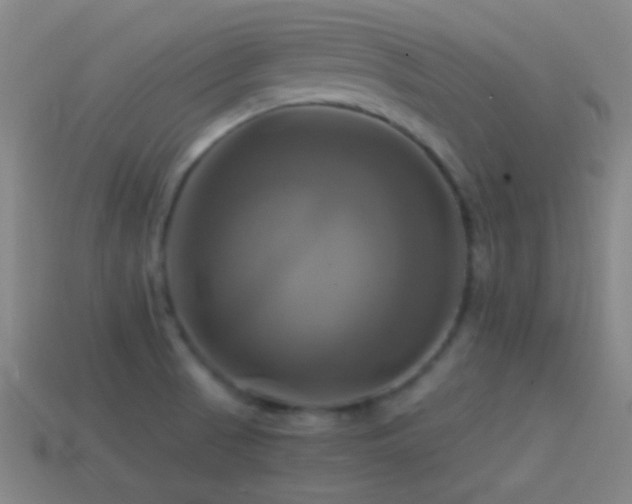 X0000114701521200910211242