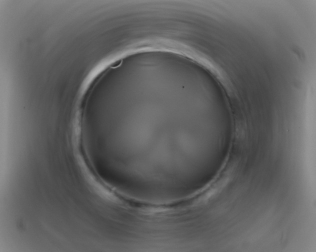 X0000114701522200910211242