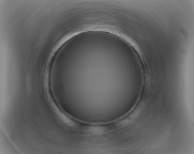 X0000114701525200910211242