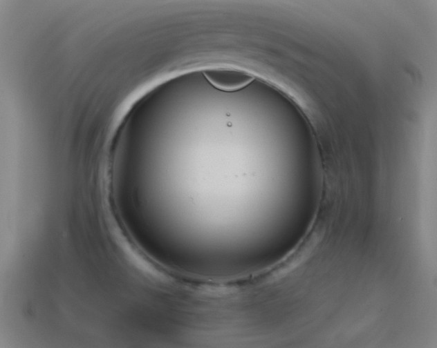 X0000114701526200910211242