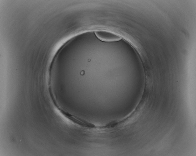 X0000114701527200910211242