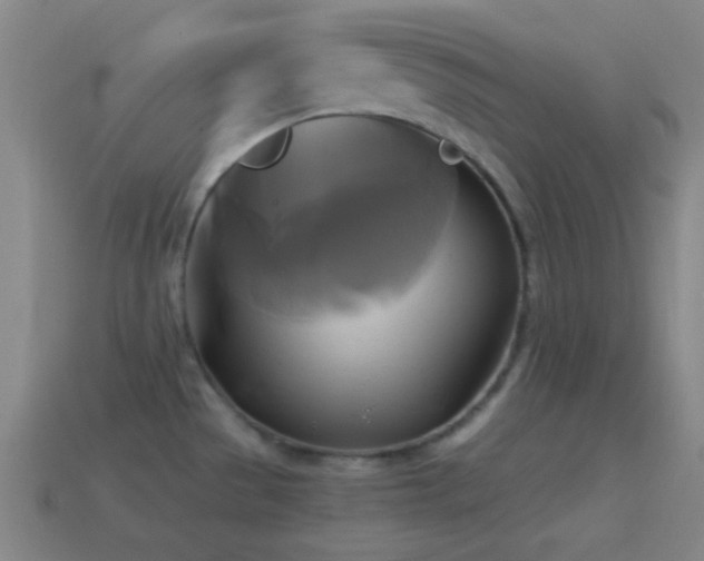 X0000114701529200910211242