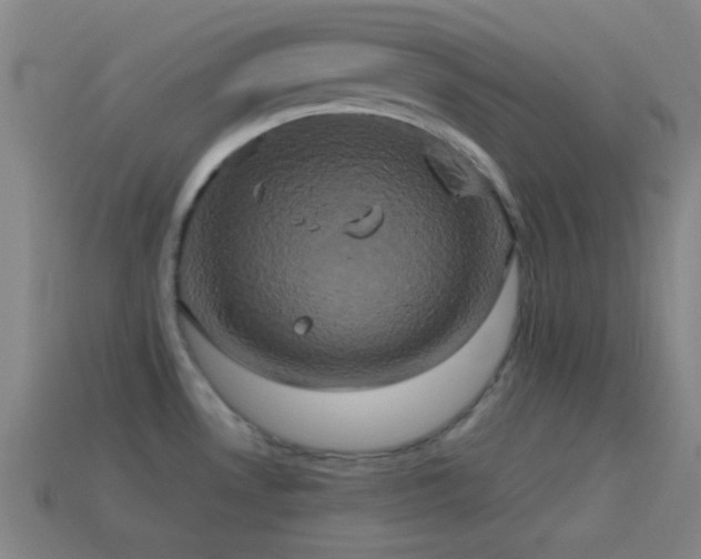 X0000114701530200910211242