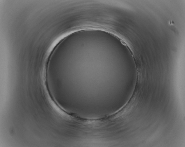 X0000114701531200910211242