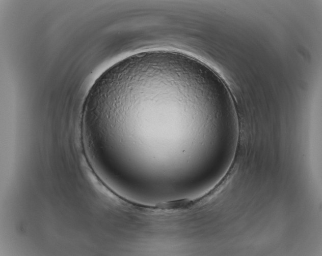 X0000114701534200910211242