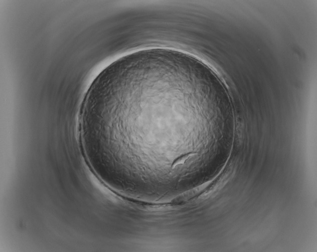 X0000114701535200910211242