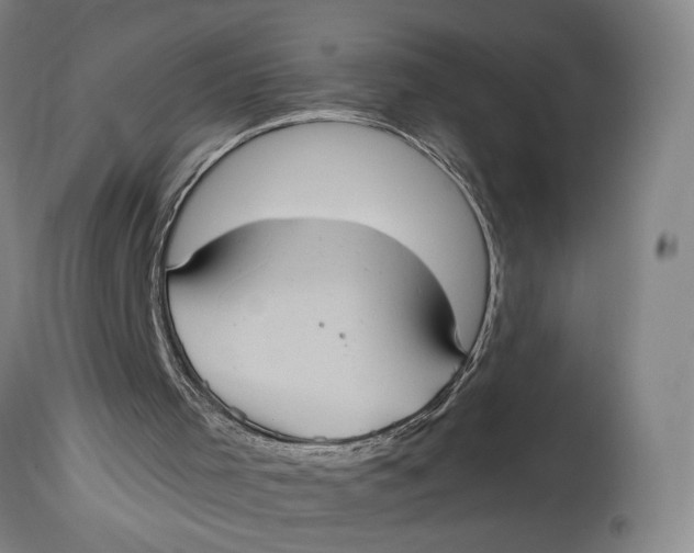 X0000114700001200911121550