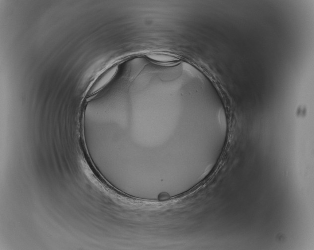 X0000114700002200911121550