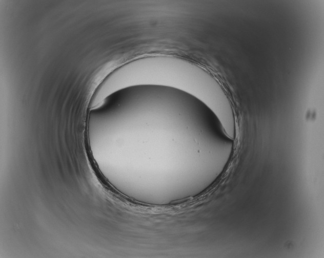 X0000114700003200911121550