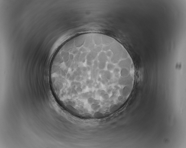 X0000114700004200911121550