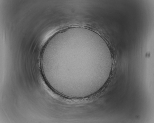 X0000114700005200911121550