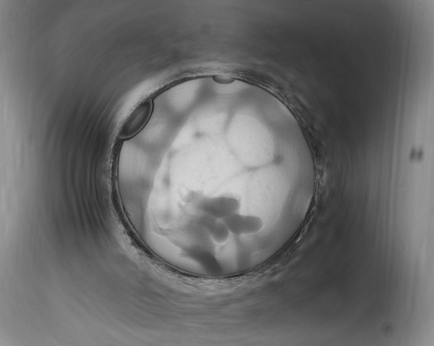 X0000114700006200911121550