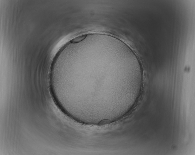 X0000114700007200911121550