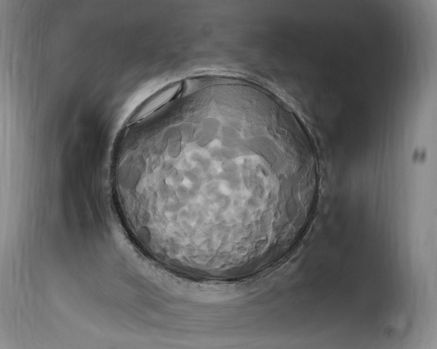 X0000114700008200911121550