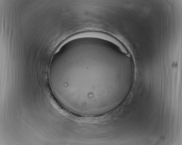 X0000114700009200911121550