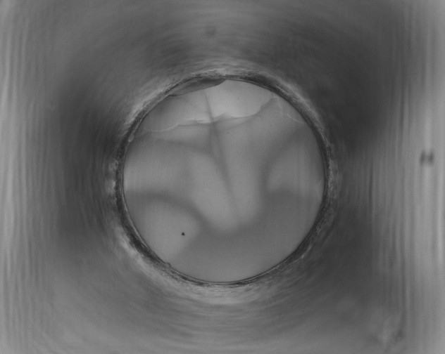 X0000114700010200911121550