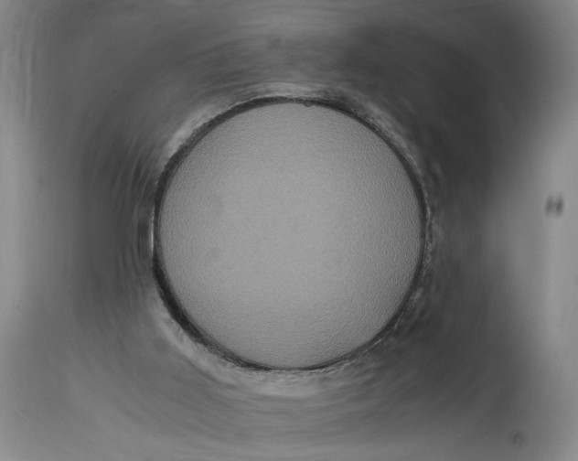 X0000114700011200911121550