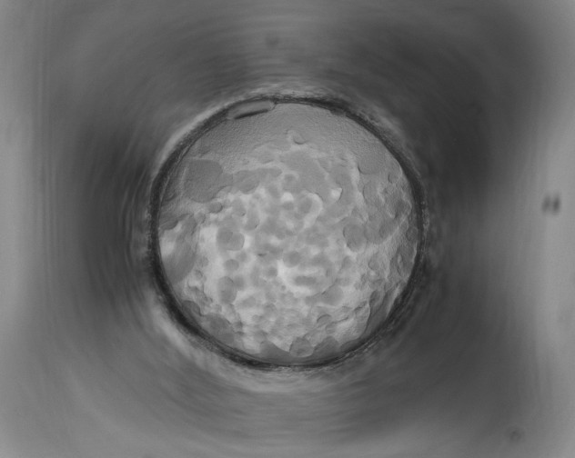 X0000114700012200911121550