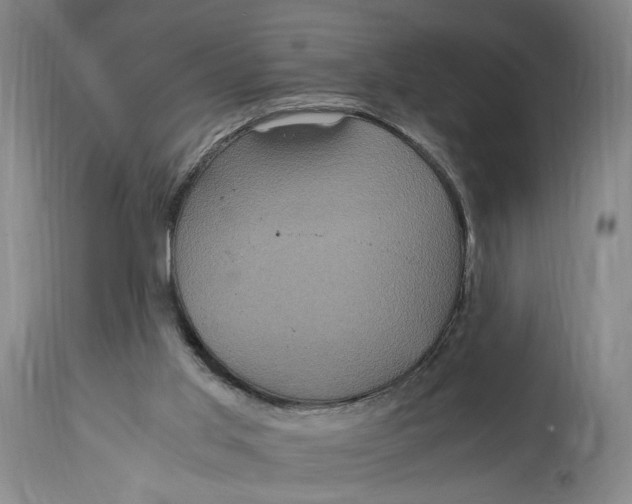 X0000114700013200911121550