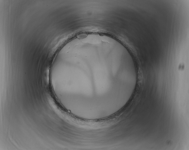 X0000114700014200911121550