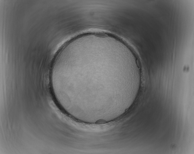 X0000114700015200911121550