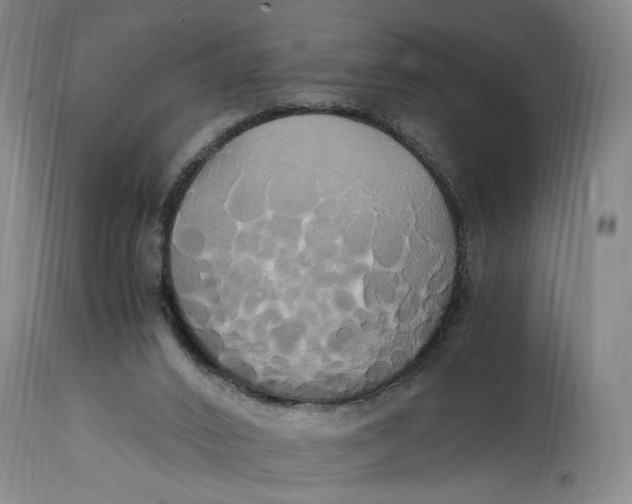 X0000114700016200911121550