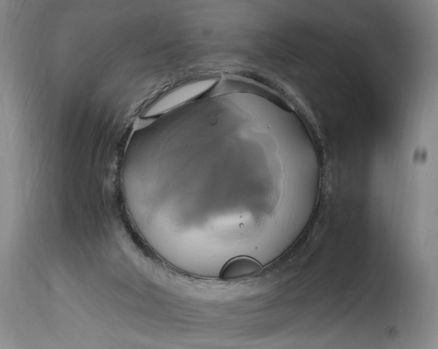 X0000114700018200911121550