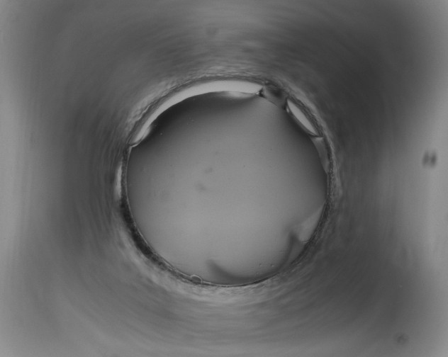 X0000114700019200911121550