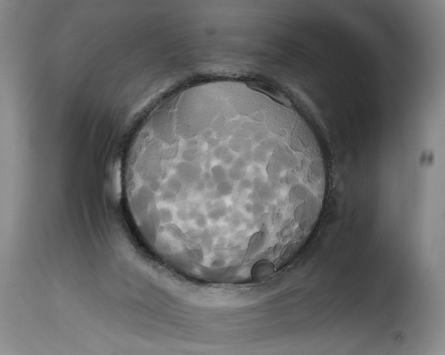 X0000114700020200911121550