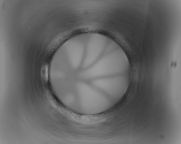 X0000114700022200911121550