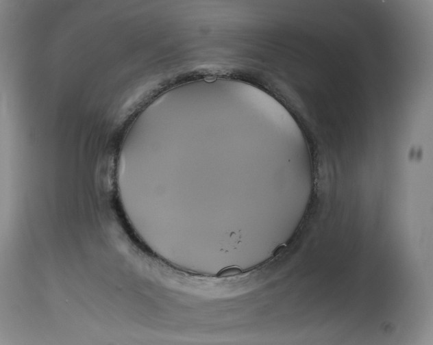 X0000114700023200911121550