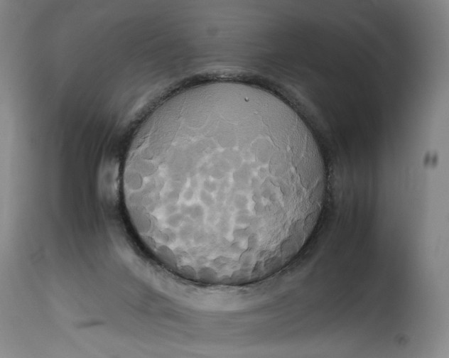 X0000114700024200911121550