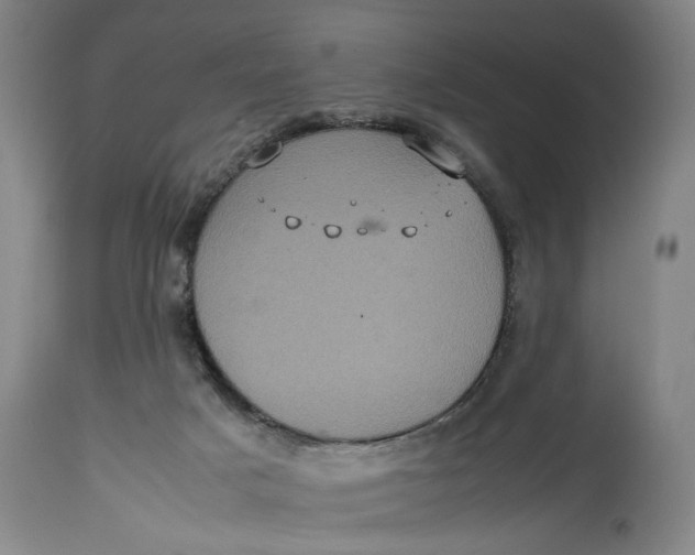 X0000114700025200911121550