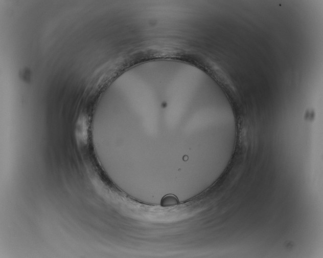 X0000114700026200911121550