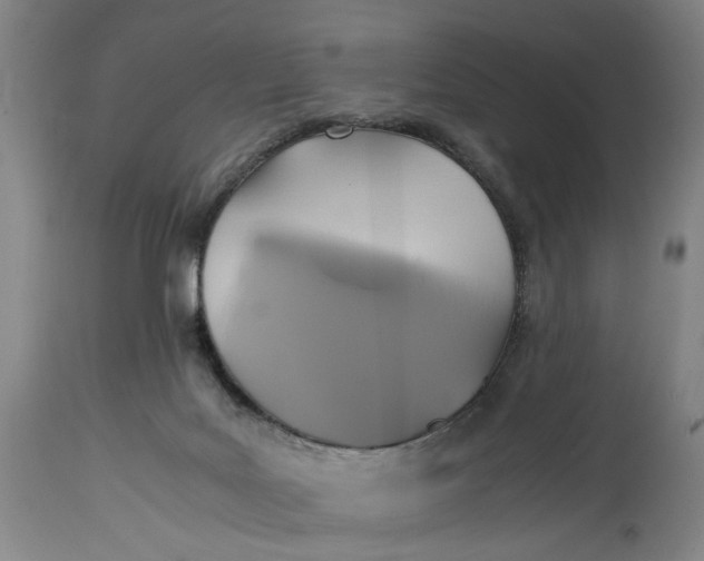 X0000114700027200911121550