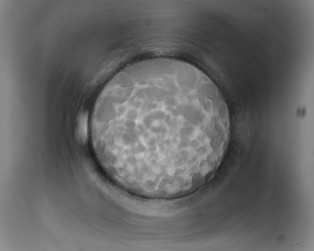 X0000114700028200911121550