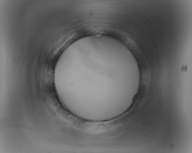 X0000114700029200911121550