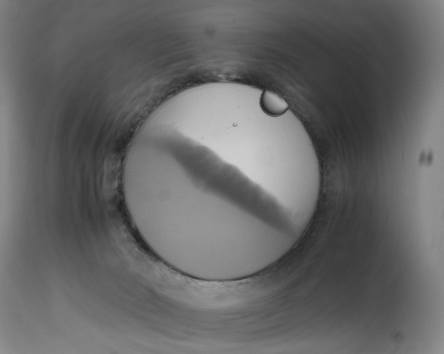 X0000114700030200911121550