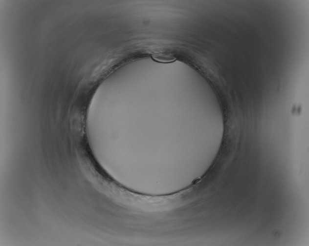 X0000114700031200911121550