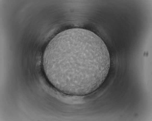 X0000114700032200911121550