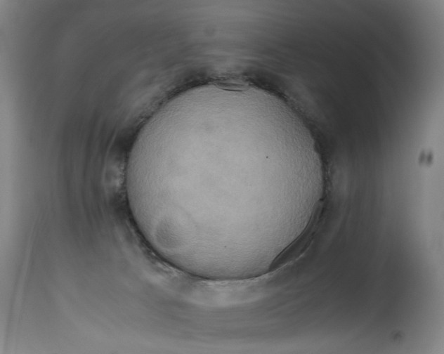 X0000114700033200911121550