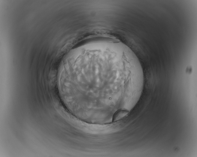 X0000114700034200911121550