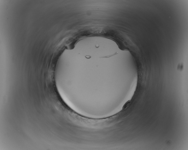 X0000114700035200911121550